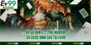 Đá Gà Đòn C1 – Trải Nghiệm Cá Cược Đỉnh Cao Tại EV99