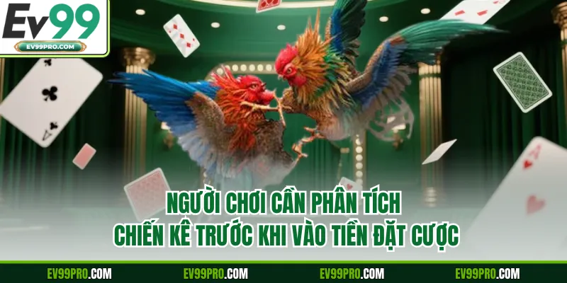Người chơi cần phân tích chiến kê trước khi vào tiền đặt cược